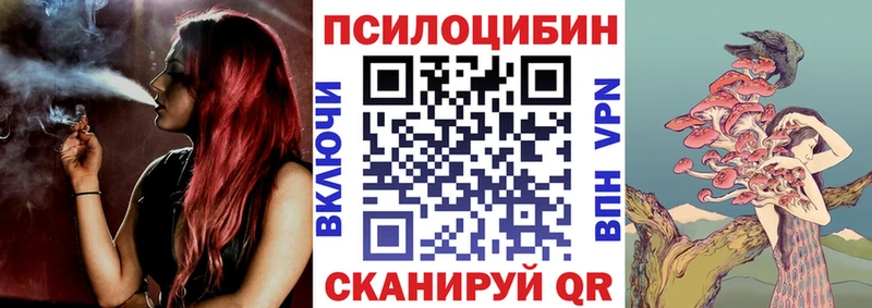 где найти   Агрыз  Галлюциногенные грибы мухоморы 